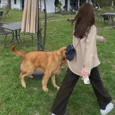 杀人之后:心思独白